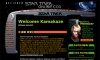 Online STCCG